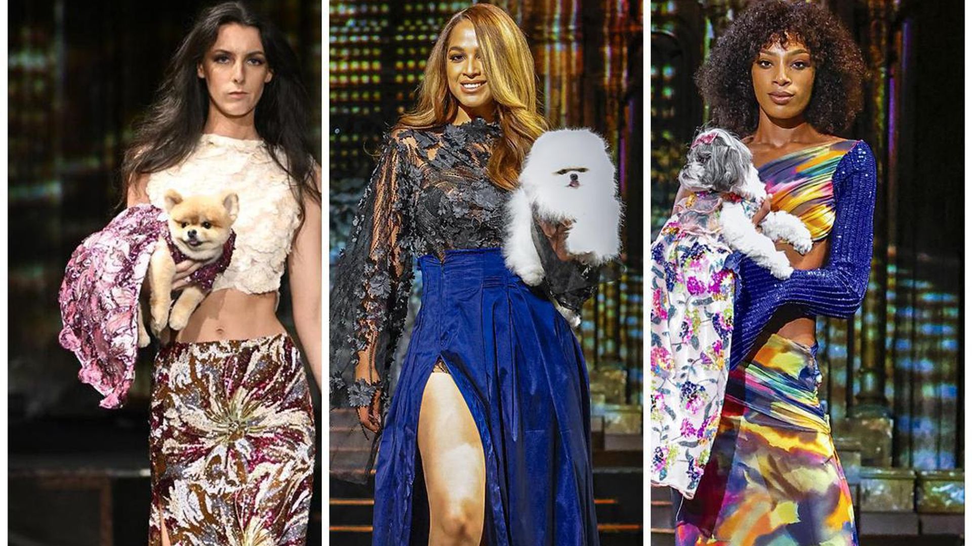 These adorable dogs turned heads walking the runway at the Canine Couture show during NYFW