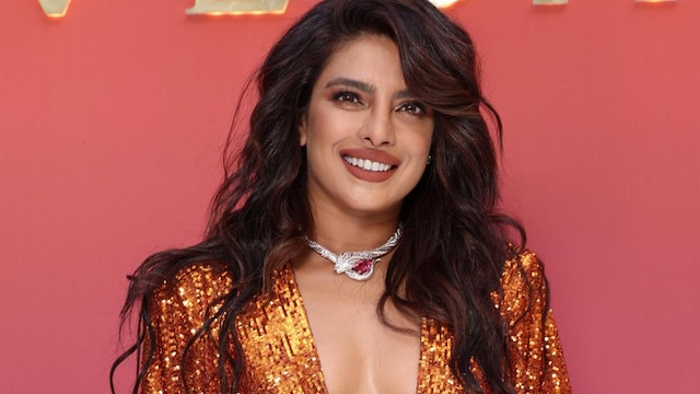 Priyanka Chopra says 'there is nothing more powerful than a mother's instinct to protect her own'