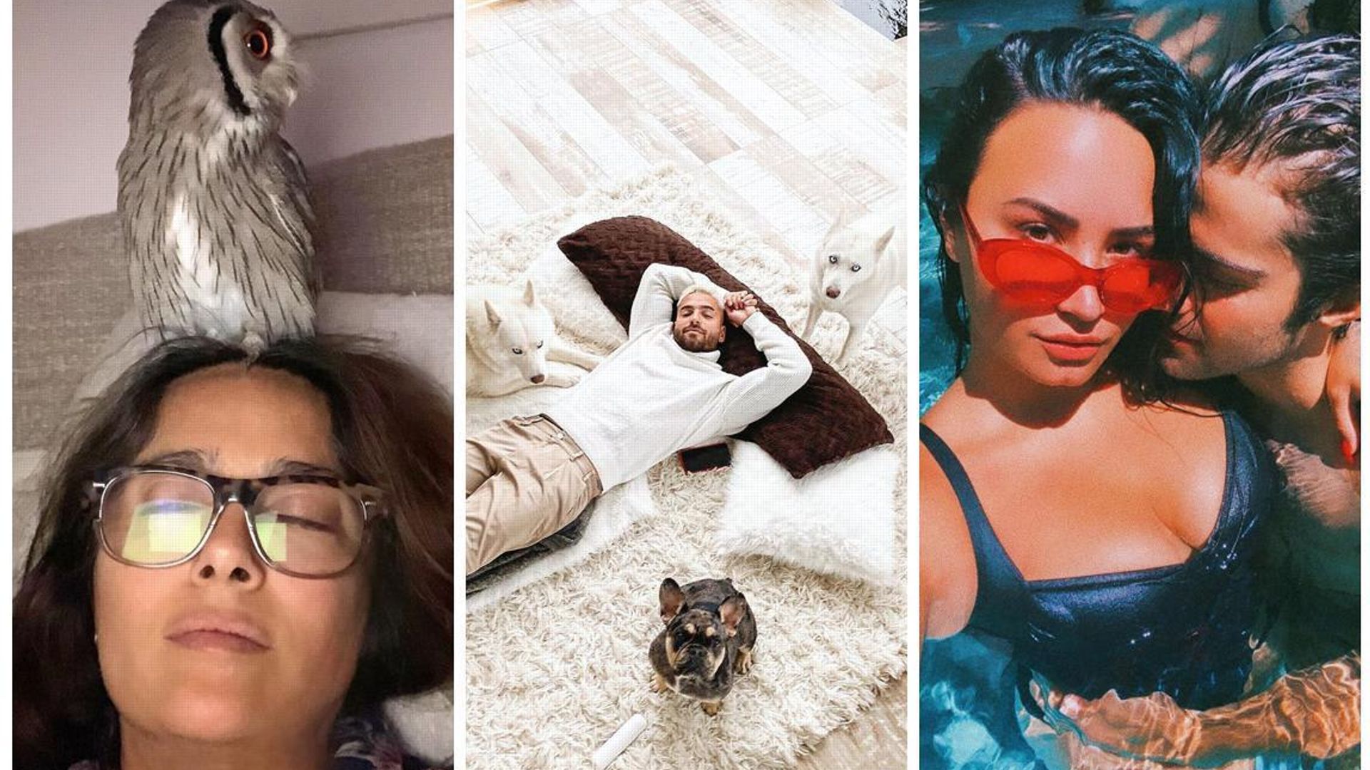 Salma Hayek’s napping partner is a HOOT and more star photos