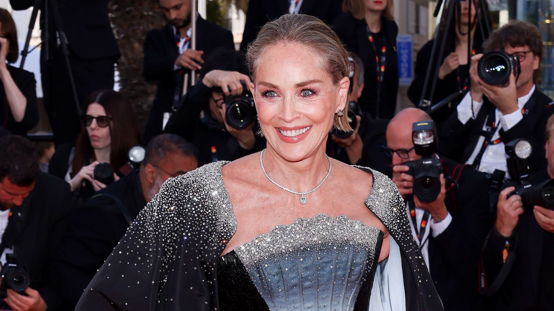 Sharon Stone reveals the medical decision her husband couldn't accept — and  how it ended the marriage