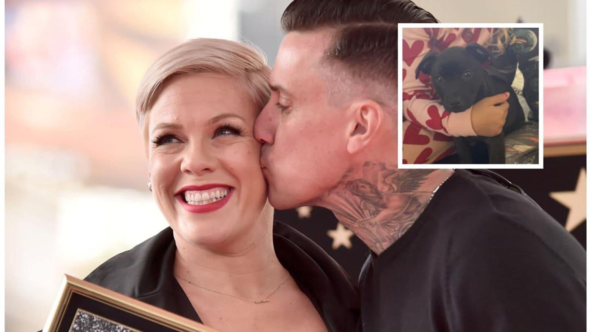 Pink introduces her new adorable family member!
