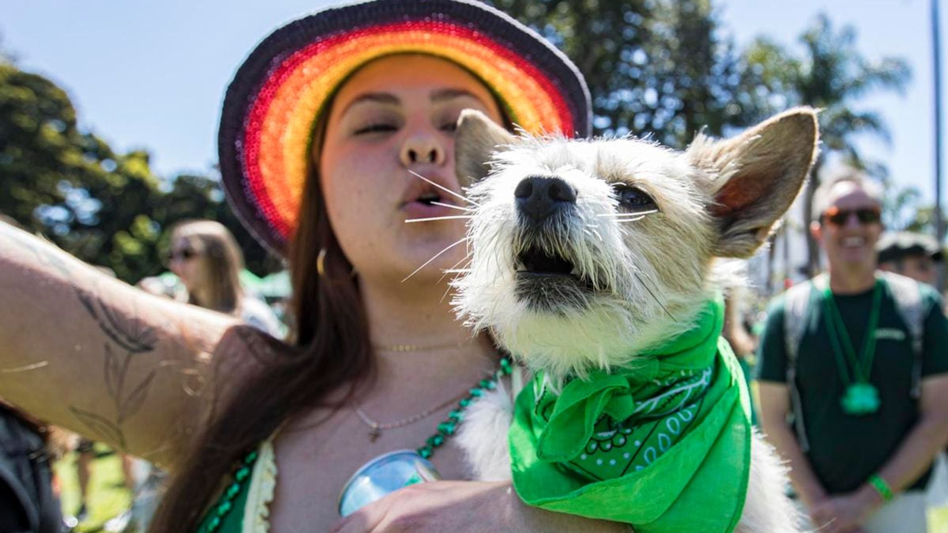 Does your dog know when you’re drunk?