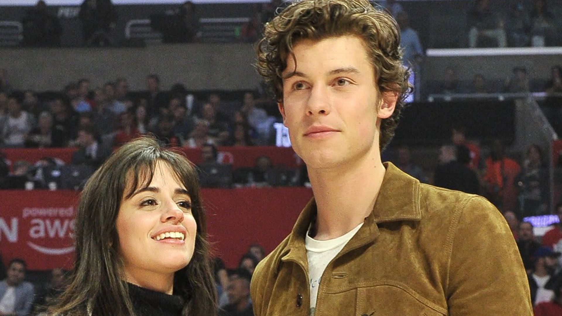 Camila Cabello trolls boyfriend Shawn Mendes after TikTok mishap