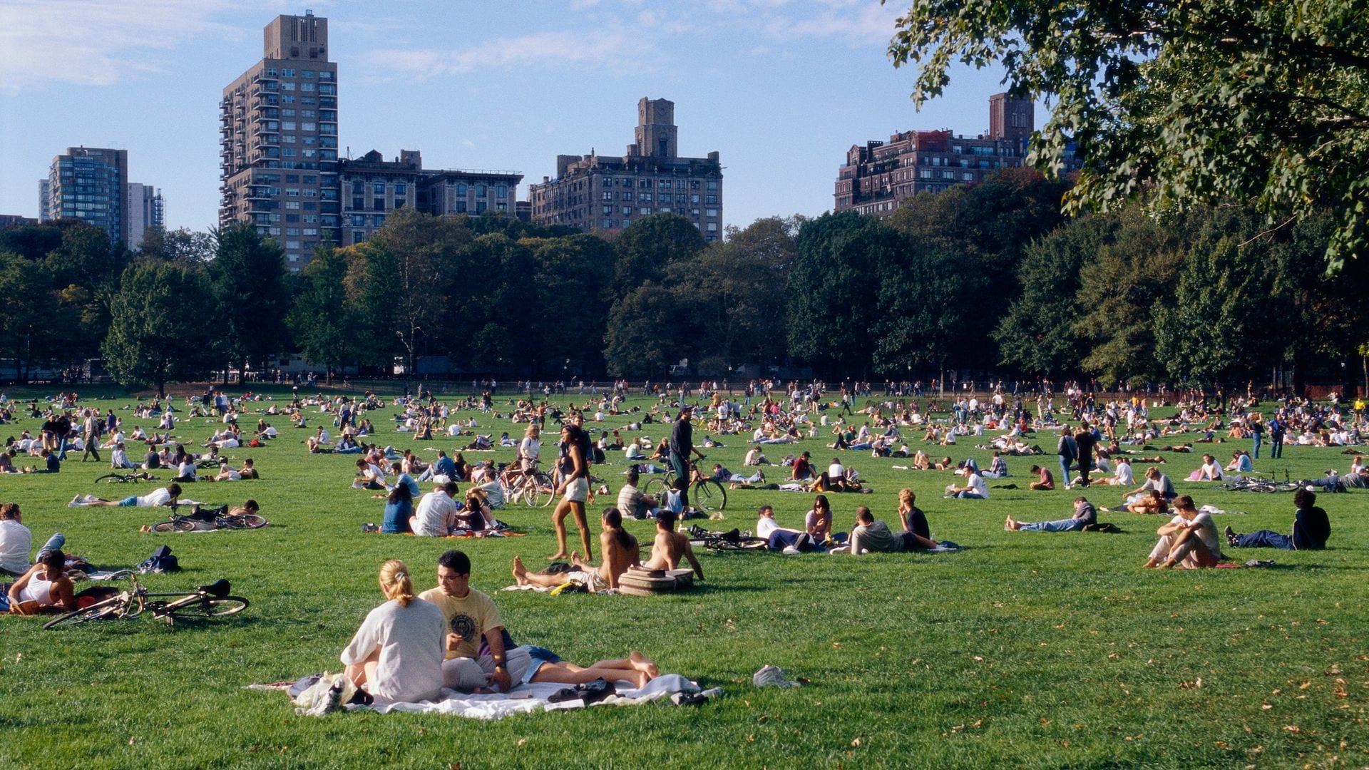 New York summer 2025 guide: Top events, festivals, and things to do