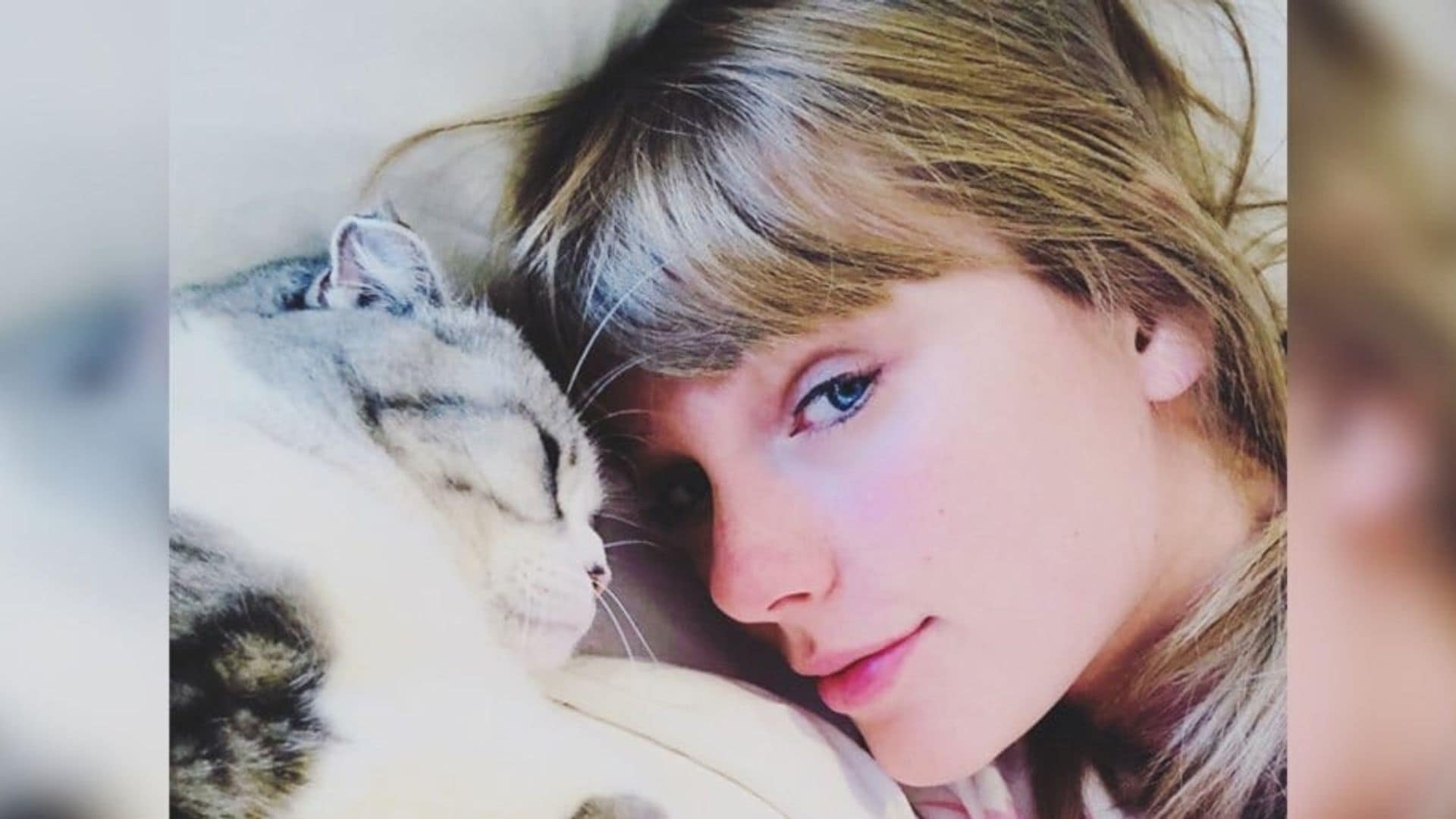 Is Taylor Swift releasing a new album and merchandise this week?
