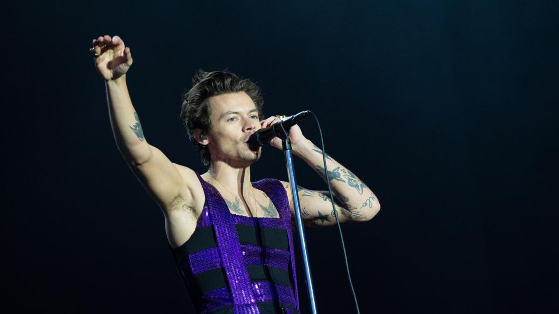 Harry Styles helps a fan ‘come out’ during one of his concerts