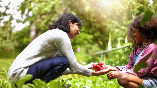 Volunteer woman showing radish to girl at community garden