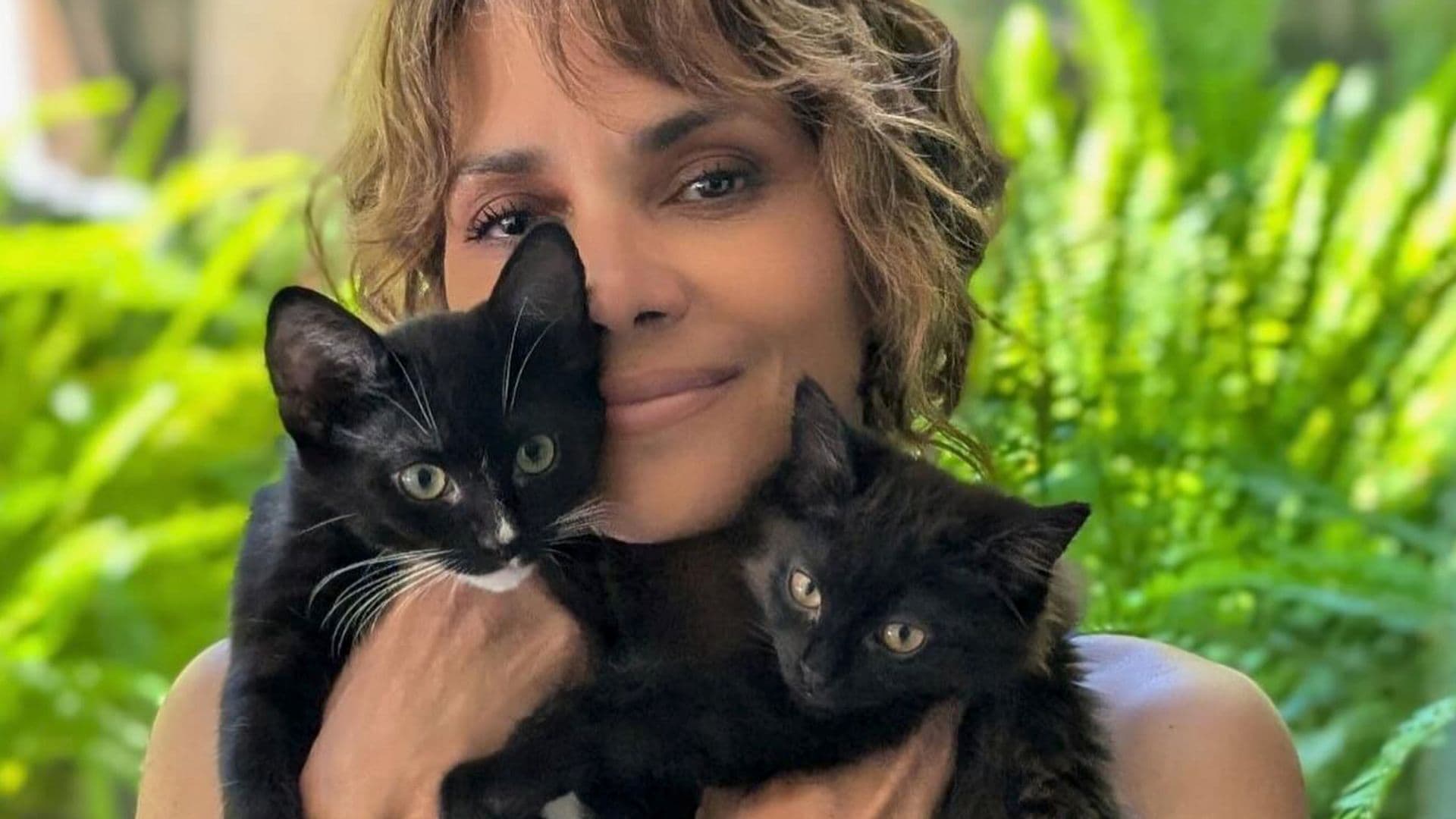 Pet of the week: Halle Berry adopts two adorable "fur babies" named Boots and Coco