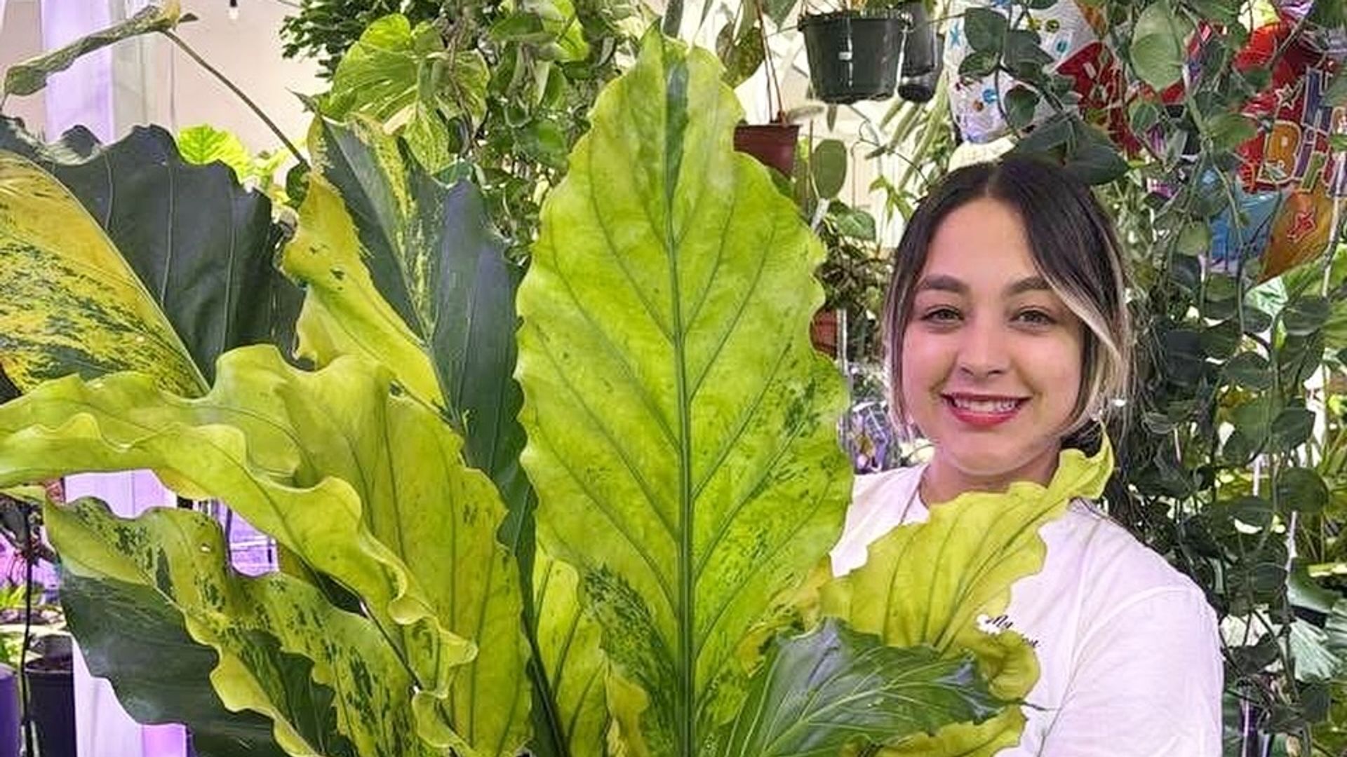 How Joelibeth Portillo built ‘Succulents Empire’ through live selling
