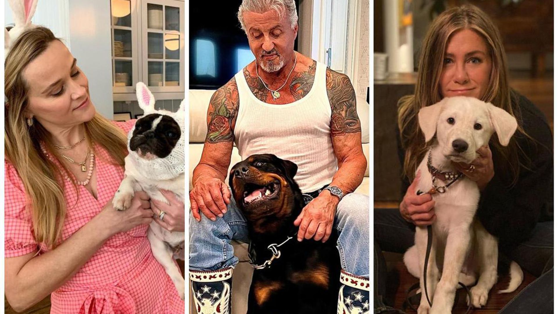 National Dog Day: Celebrities and their four-legged friends