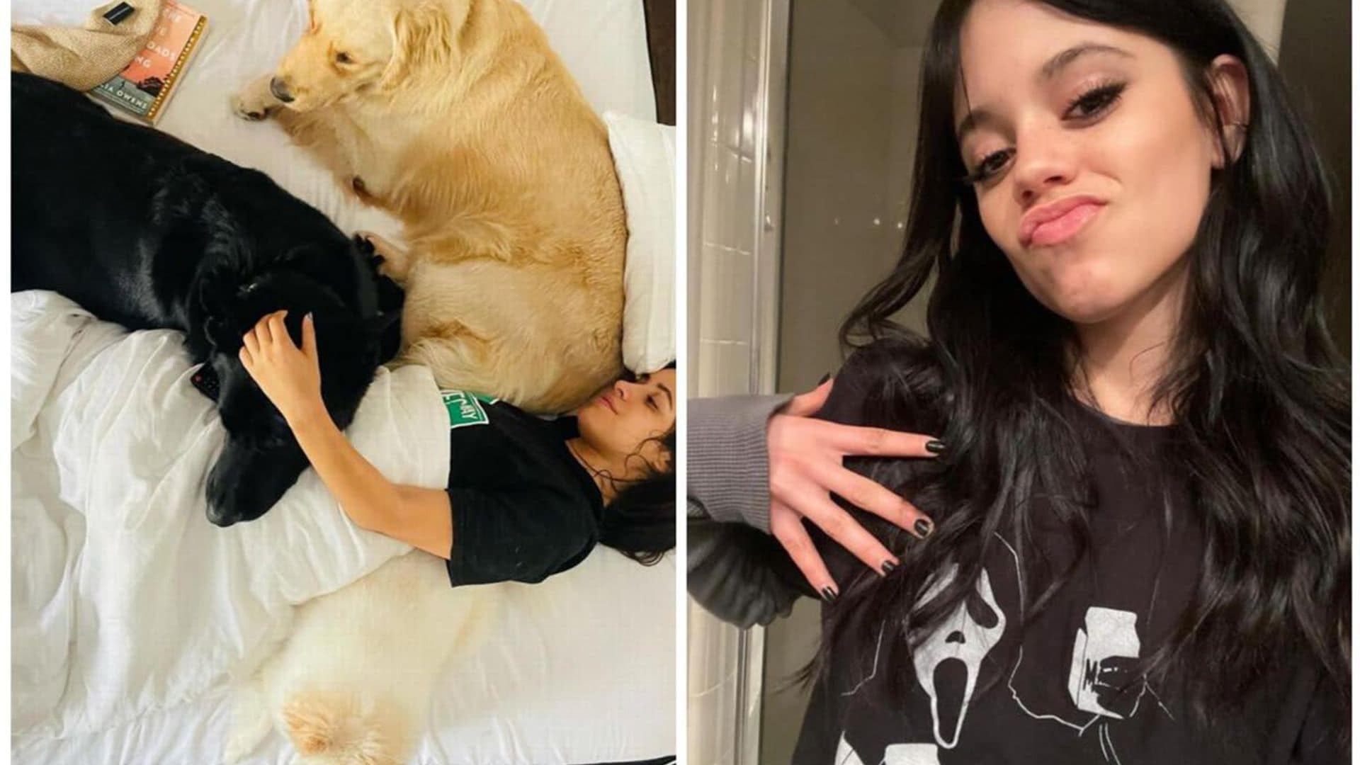 Camila Cabello snuggles with her dogs and more estrellas we love