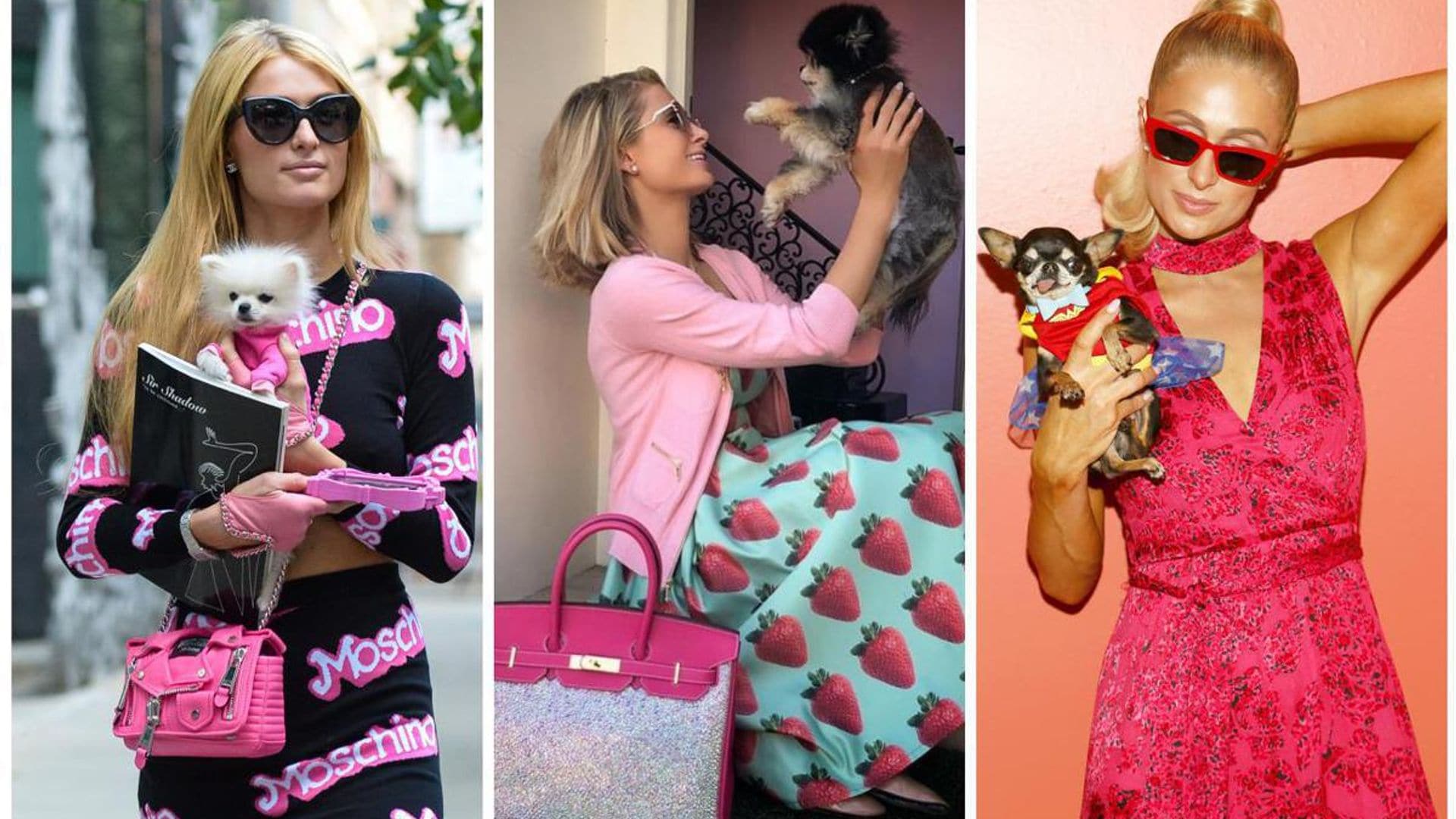 Meet Paris Hilton’s fur kids! The pets keeping the billionaire heiress company
