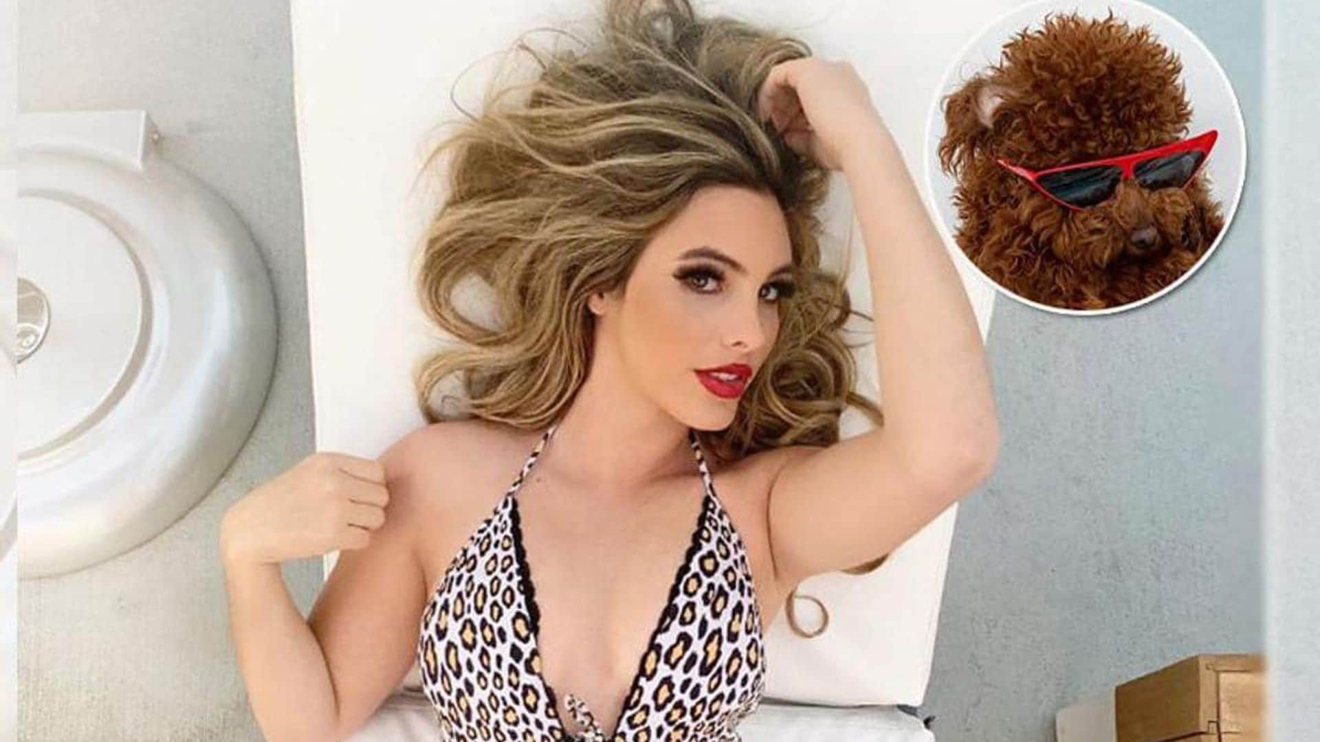 Lele Pons gets attacked by a Pitbull while trying to protect her dog, Toby