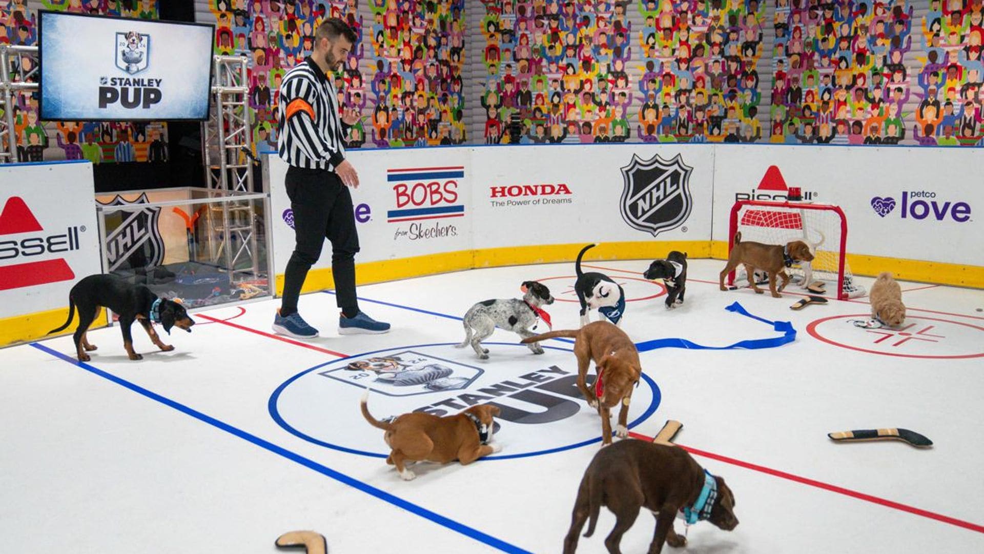 Calling all dog lovers! Here’s how to watch the first ‘Stanley Pup’ competition for rescue dogs