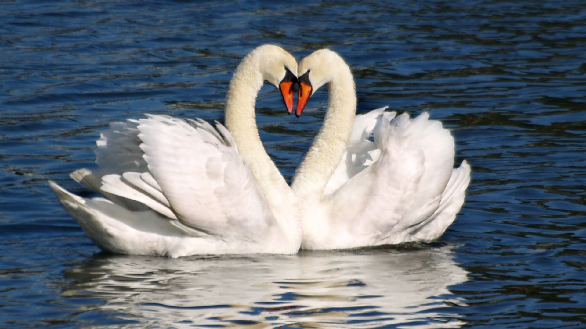 https://www.hola.com/us/horizon/landscape/67fdb59a1310-valentines-day.jpg?im=Resize=(1200)