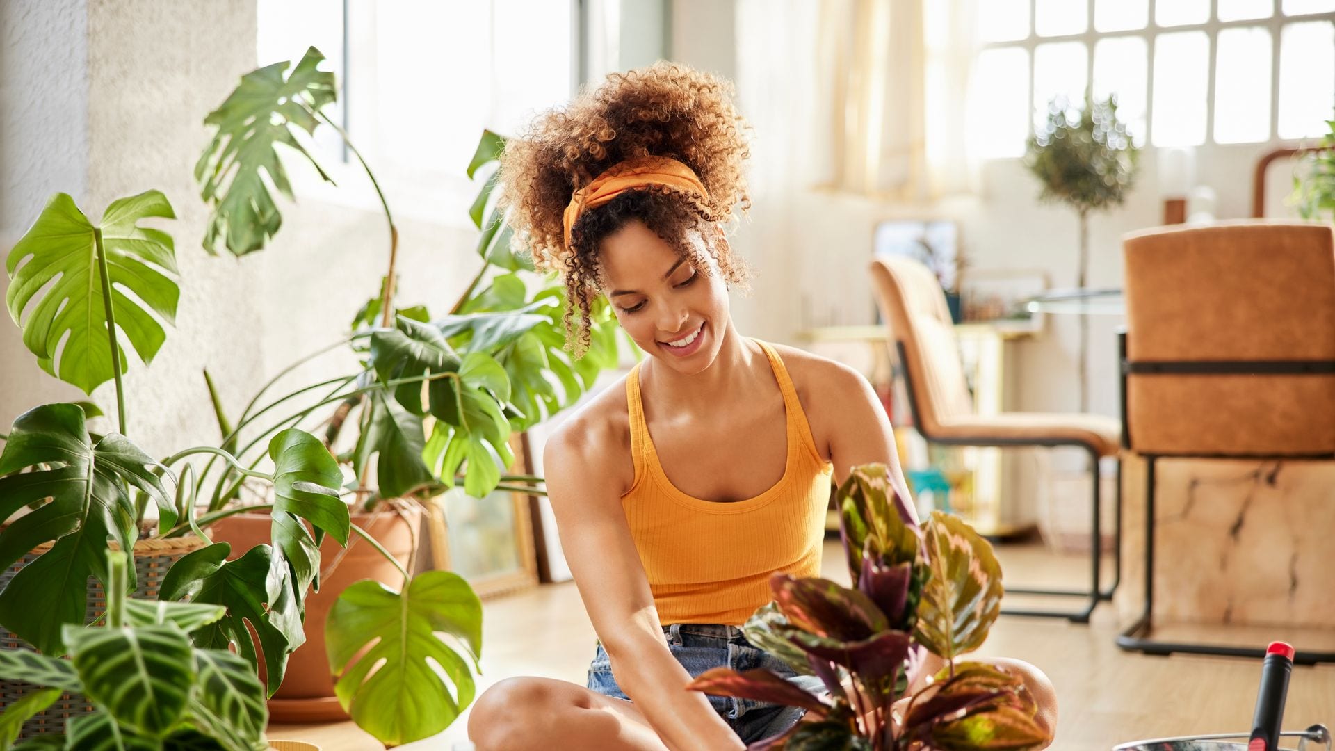 Top 9 plants believed to attract wealth and prosperity into your home