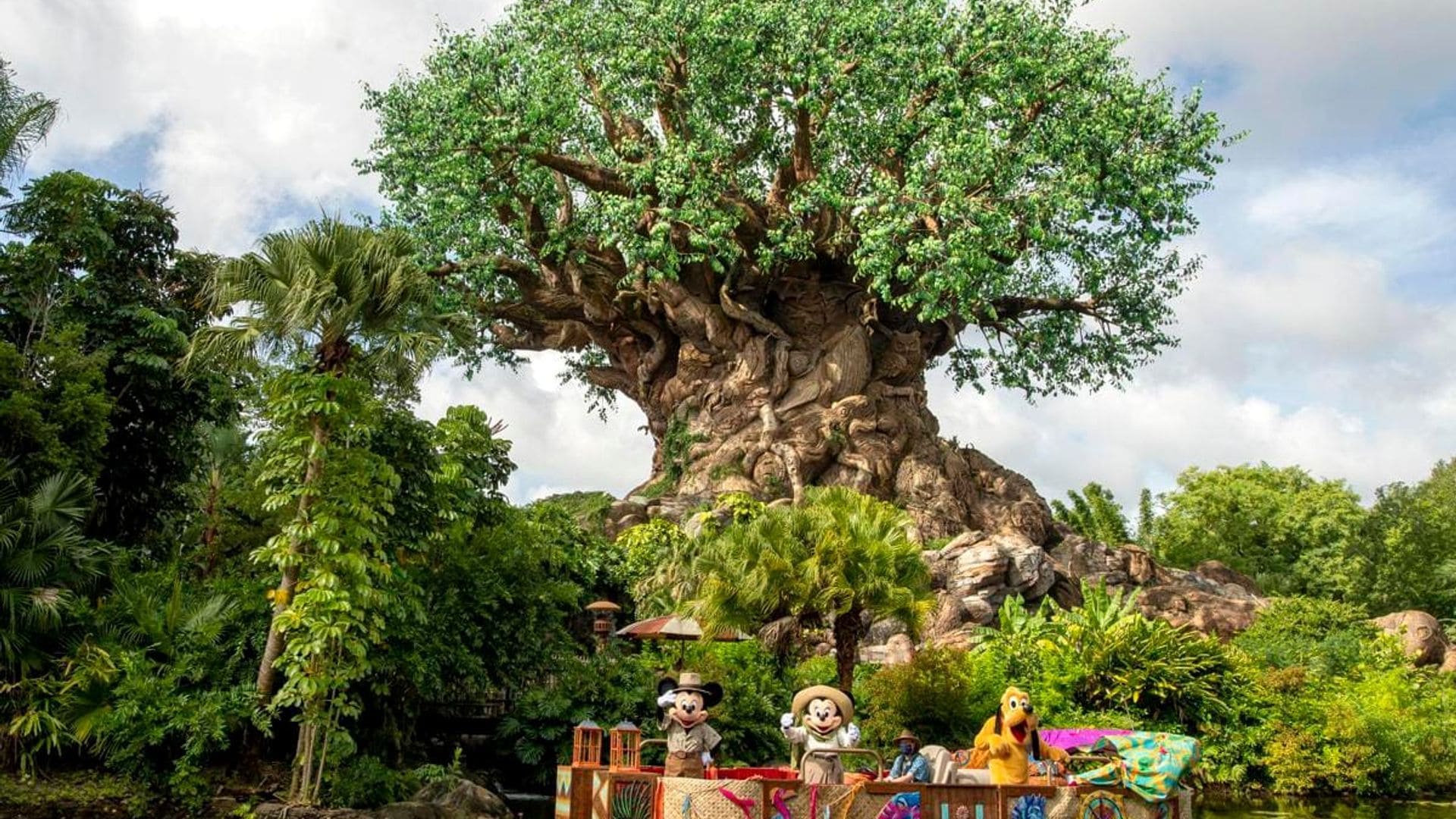 Royal family’s visit to Disney World revealed!