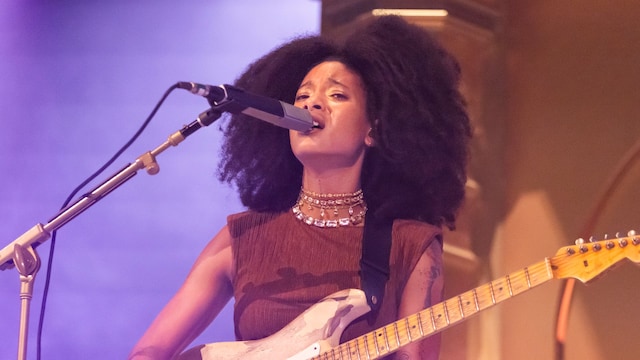 Willow at Little Ceasar's Arena in Detroit