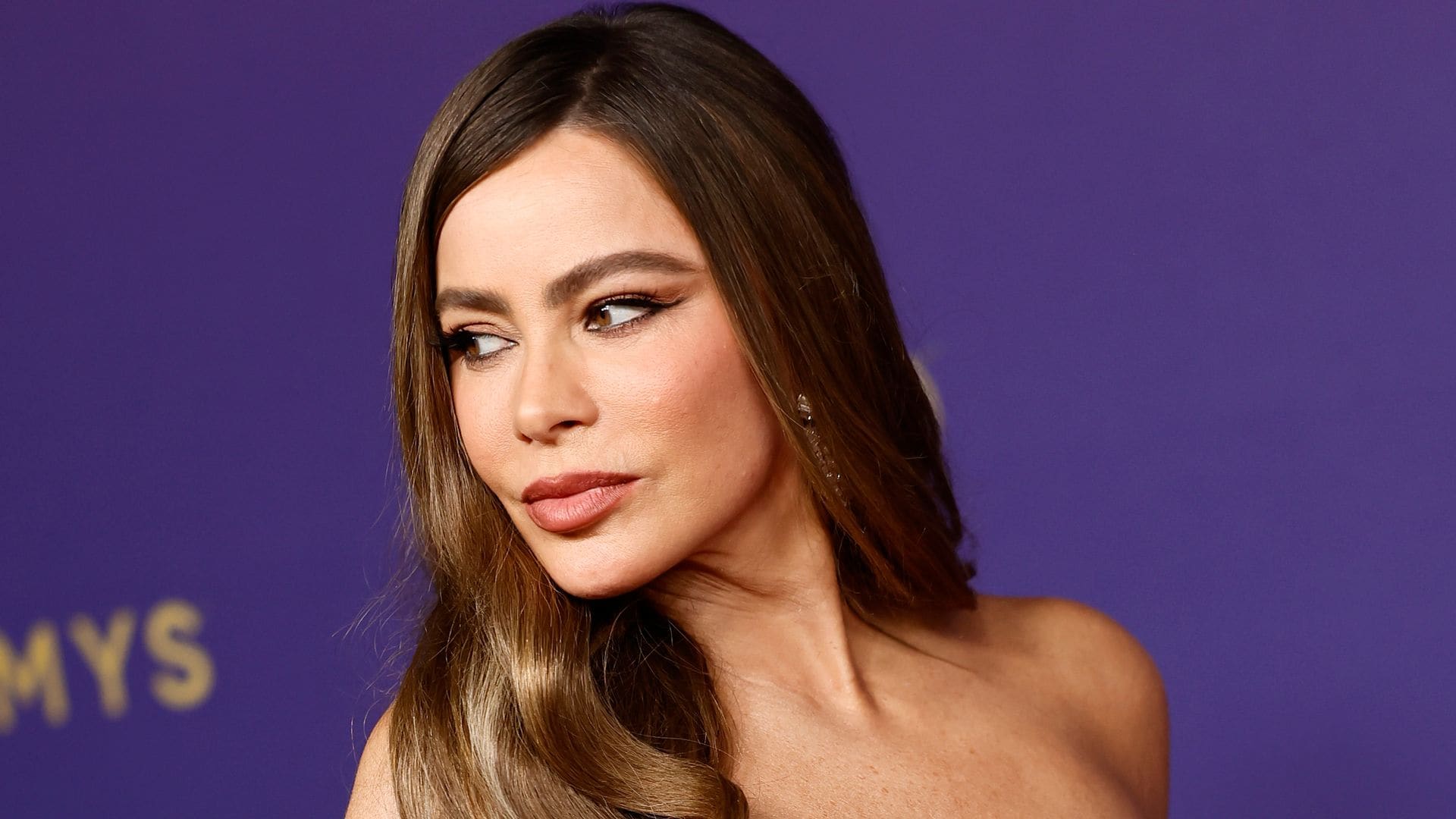 Sofia Vergara's latest leggy photo has fans saying 'This must be AI'