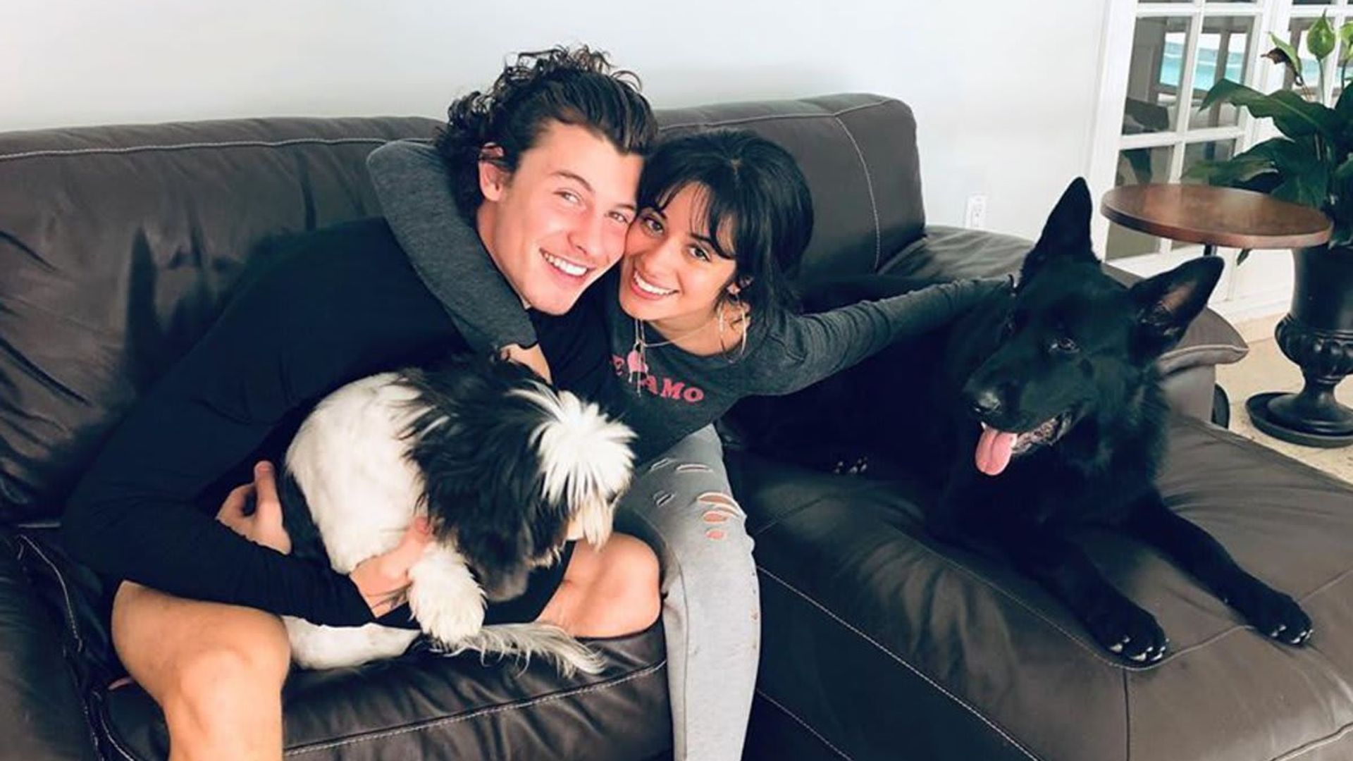 Camila Cabello shares precious photo of Shawn Mendes sleeping with their pup