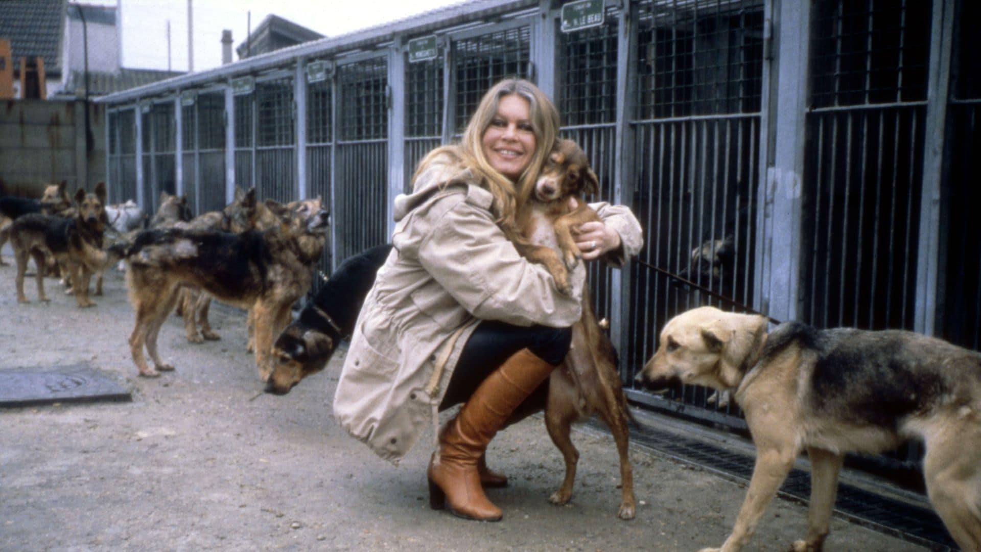 This is how Brigitte Bardot spent her final days: silence, nature, and an impregnable refuge