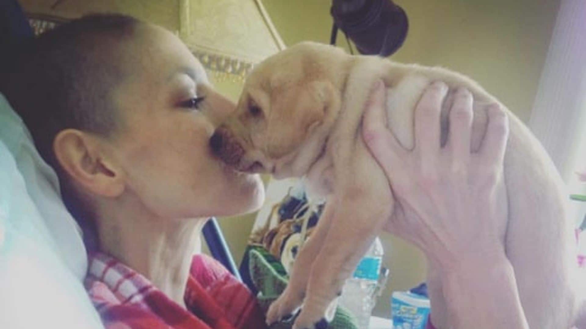 Joey Feek cuddles some puppies: See the adorable photo