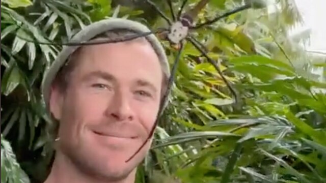 Chris Hemsworth