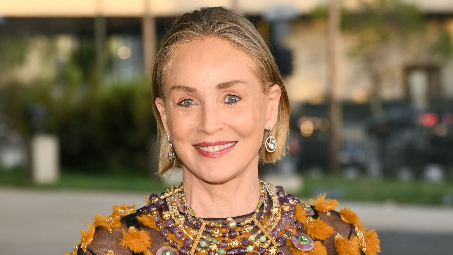 https://www.hola.com/us/horizon/landscape/7ca05efaf8fd-sharon-stone-at-lacmas-opening-gala-for-the-david-geffen-galleries-held-at-lacma.jpg?im=Resize=(1200)