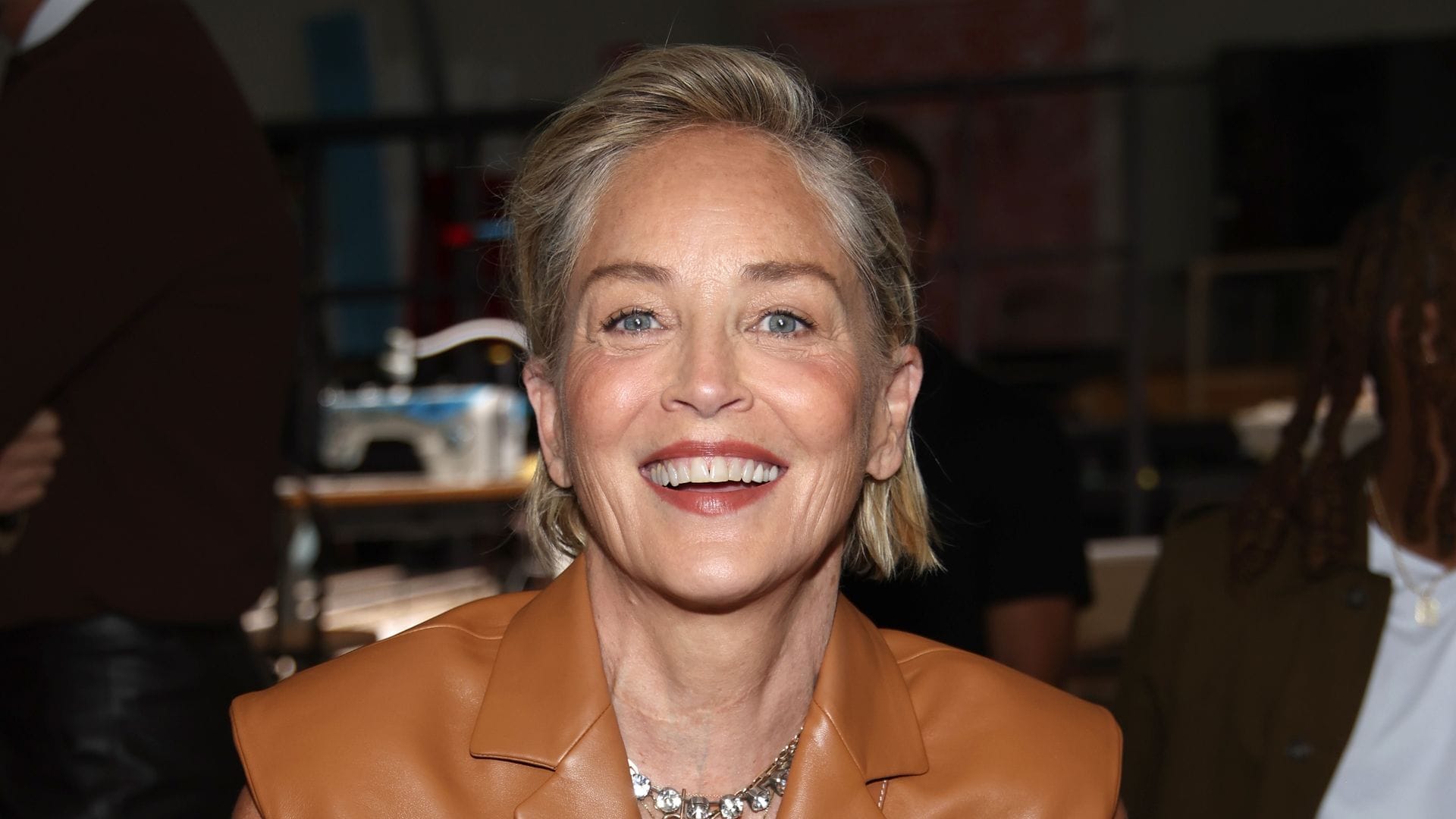 Sharon Stone opens up about losing $18 million after having a stroke
