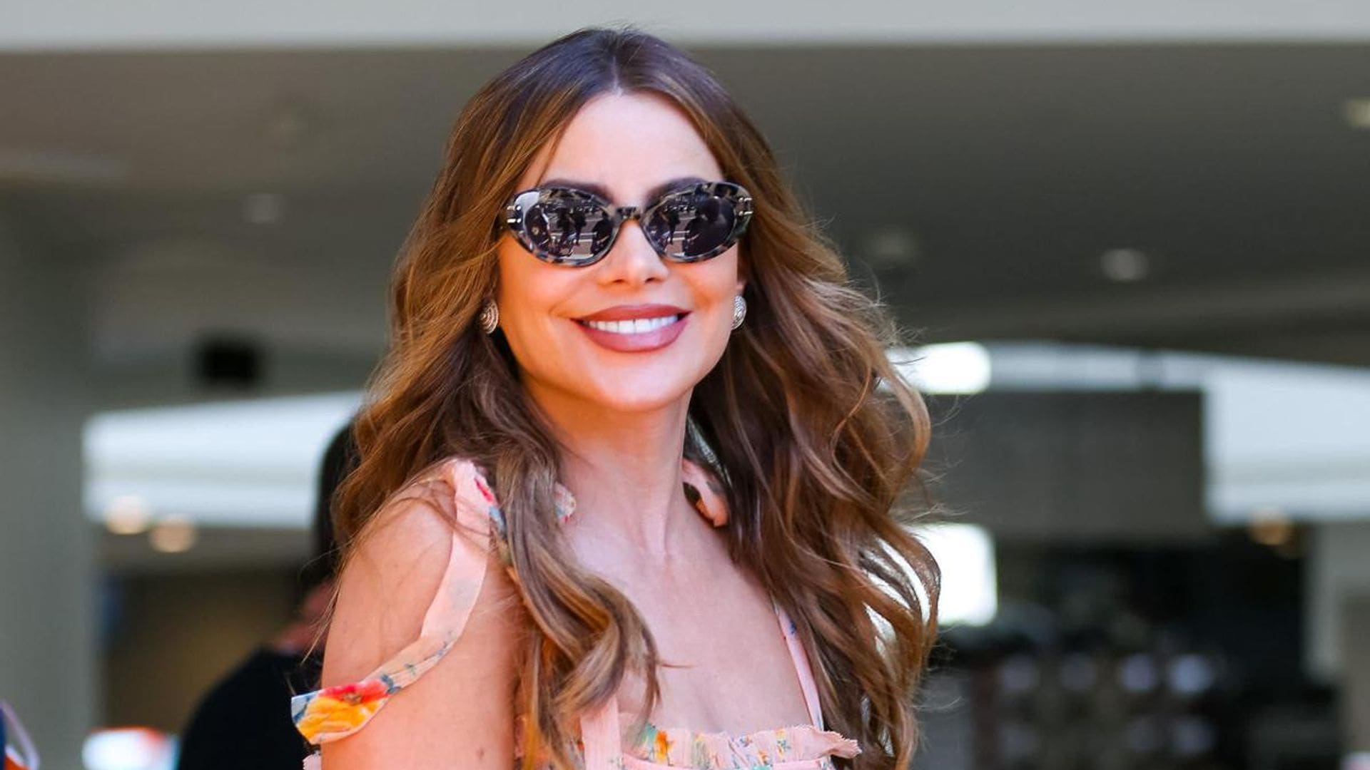 Sofia Vergara falls inside her private plane after her seat breaks