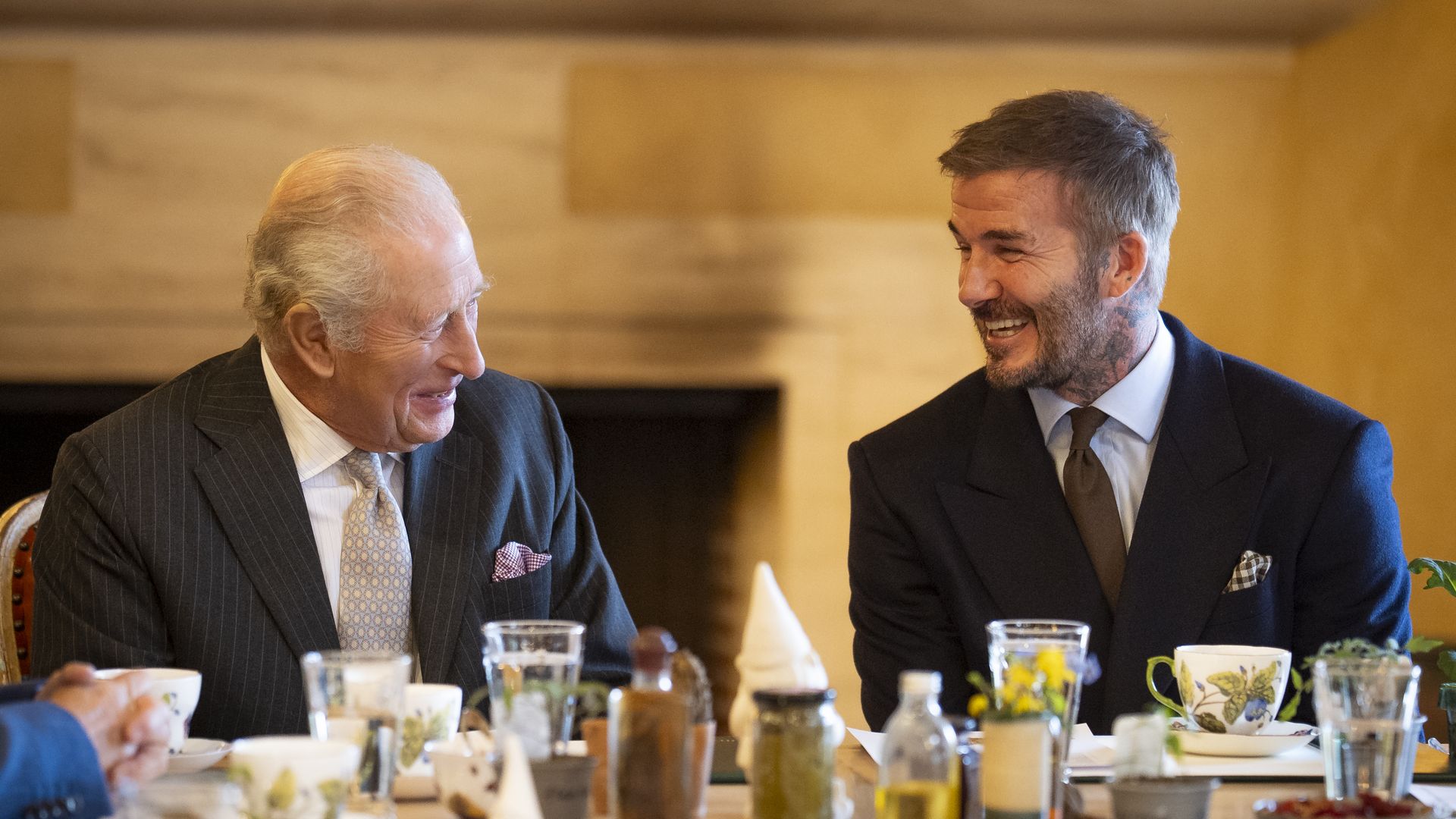 King Charles III and Sir David Beckham are part of the team behind The RHS and The King's Foundation Curious Garden at Highgrove, Gloucestershire