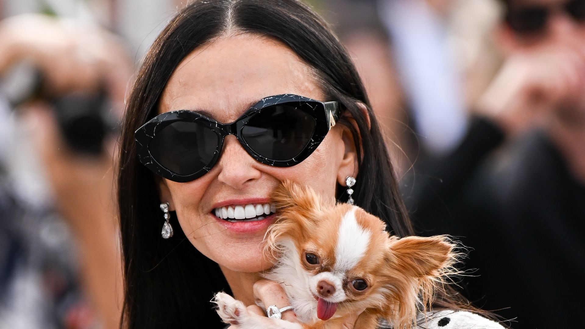 Demi Moore with Pilaf the dog attends the "The Substance" Photocall at the 77th annual Cannes Film Festival at Palais des Festivals on May 20, 2024 in Cannes, France. 