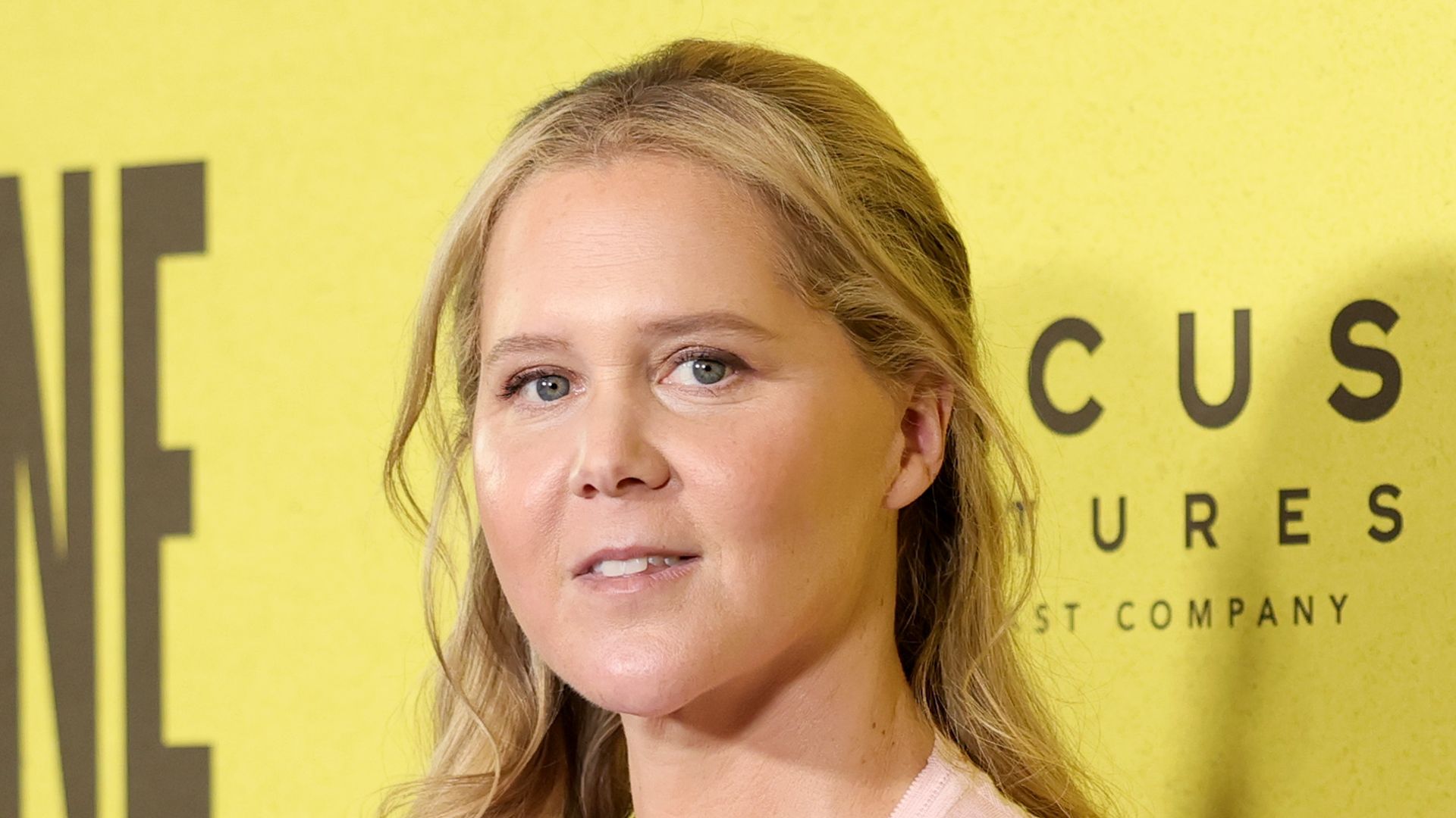https://www.hola.com/us/horizon/landscape/82bd75379f88-new-york-new-york-amy-schumer-attends-the-premiere-of-focus-features-lorne-at-al.jpg?im=Resize=(1200)