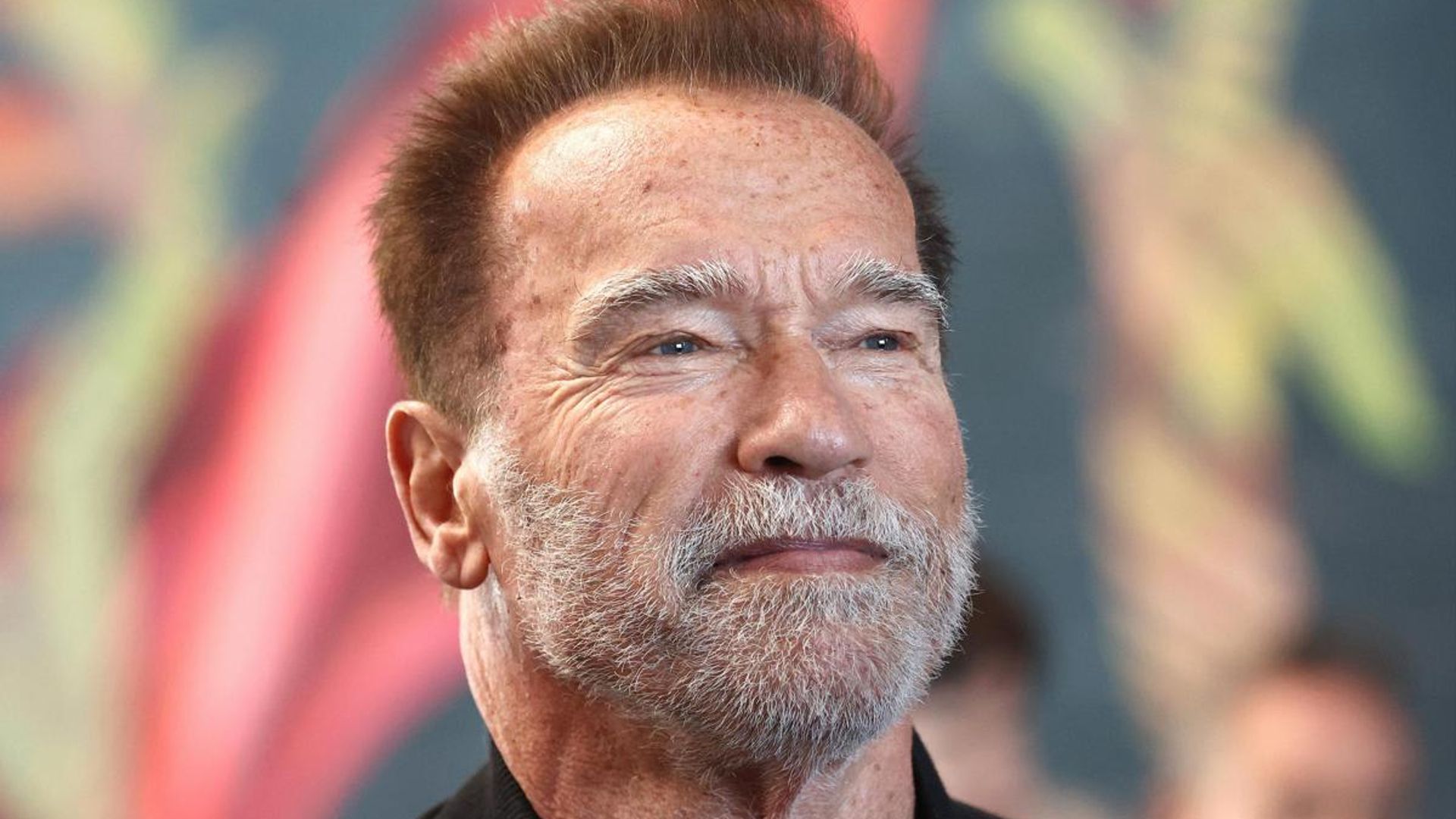 Arnold Schwarzenegger did not fly a private jet to his Austrian World Summit climate conference