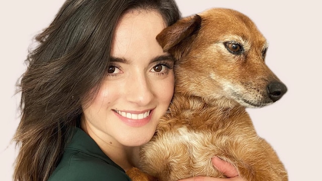 [Pet of the week] Morocha’s miraculous journey: From a Venezuelan beach to a loving home in Los Angeles