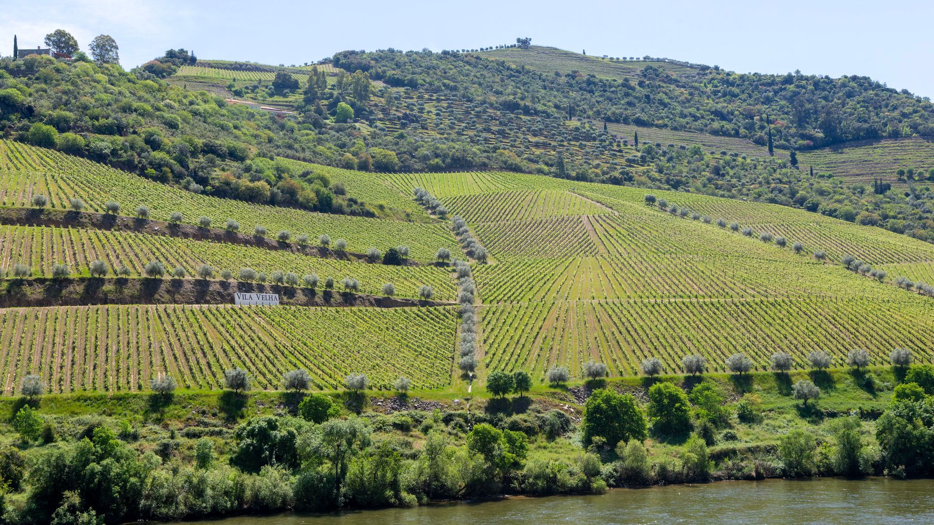 https://www.hola.com/us/horizon/landscape/87c53ca1ac49-grapevines-growing-down-slope-to-river-douro-quinta-vila-velha-near-pinhao-alto.jpg?im=Resize=(1200)