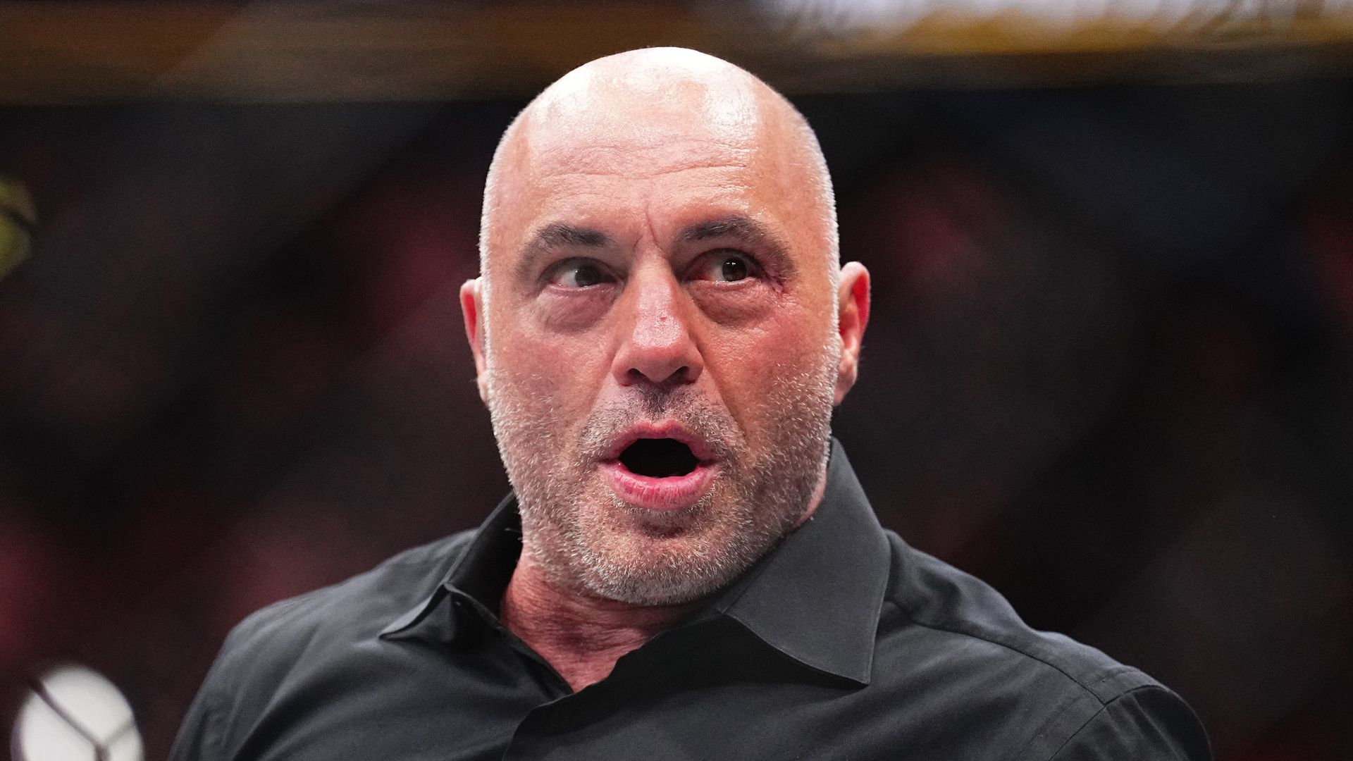  Joe Rogan reacts to the knockout win by Max Holloway in the BMF championship fight during the UFC 300 event at T-Mobile Arena on April 13, 2024 in Las Vegas, Nevada. 