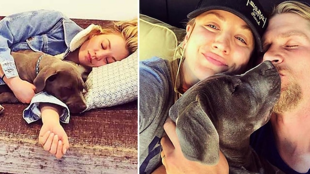 Kaley Cuoco has a lot of love for her dogs
