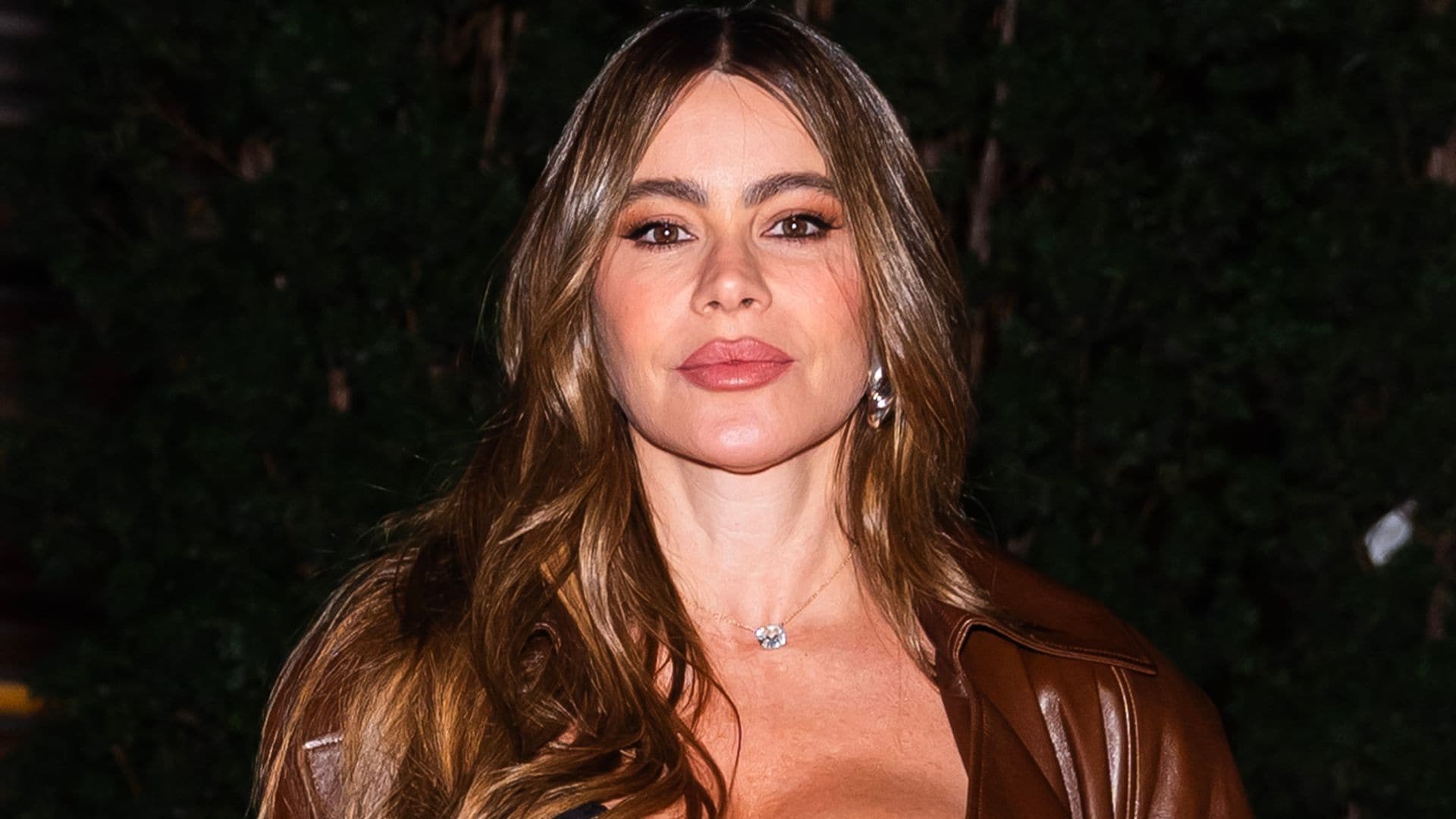 Sofia Vergara reveals beauty secret to cover her gray hair: 'Nobody notices'