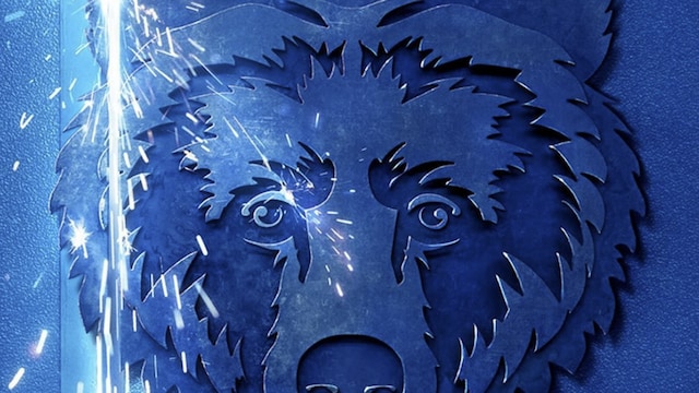 The Bear