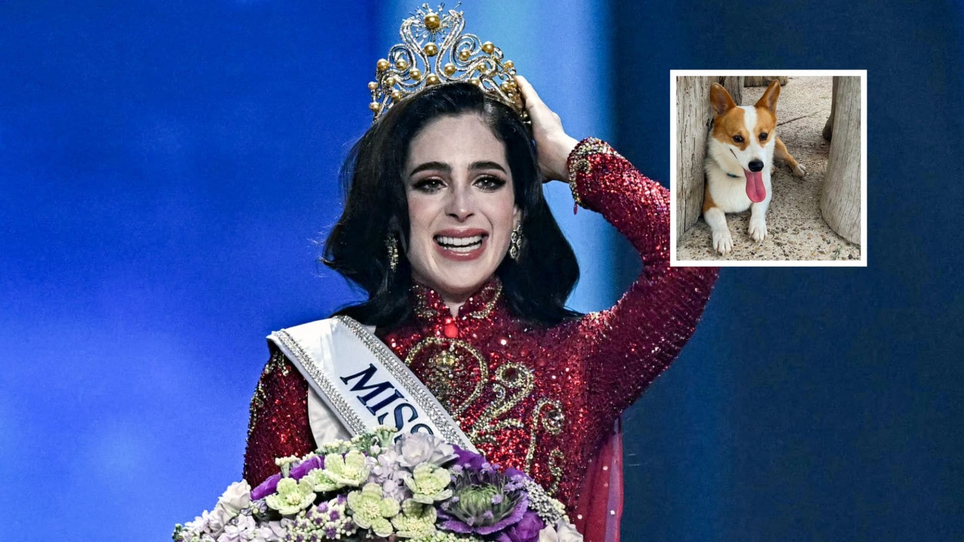 Pet of the Week: How Miss Universe 2025 winner Fátima Bosch honored her late dog Rocco in the competition