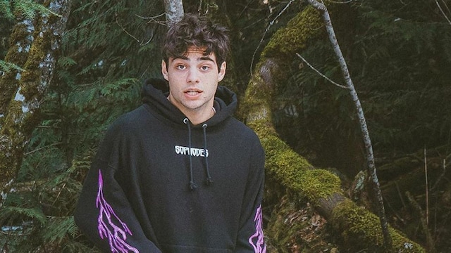 Noah Centineo surprised