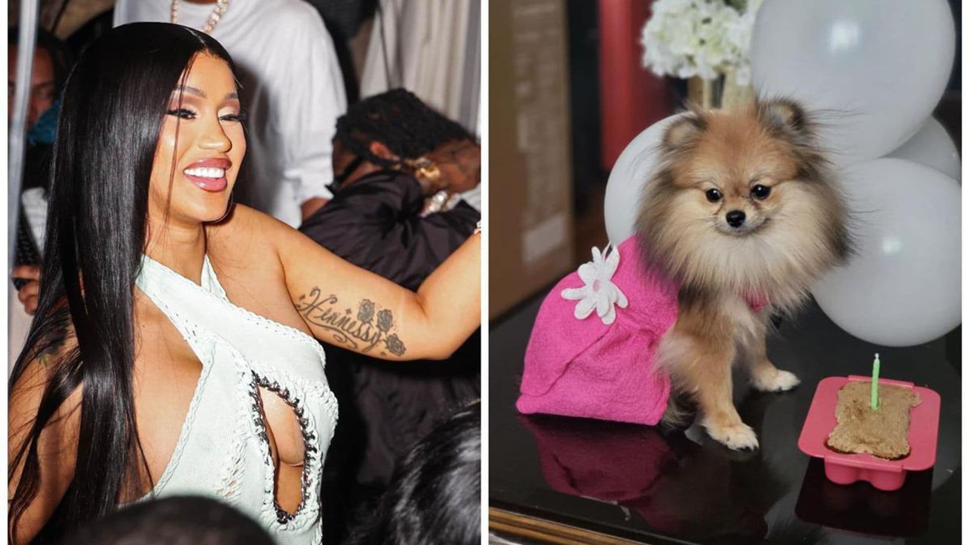 Cardi B celebrates her Pomeranian Fluffy’s birthday with adorable pics