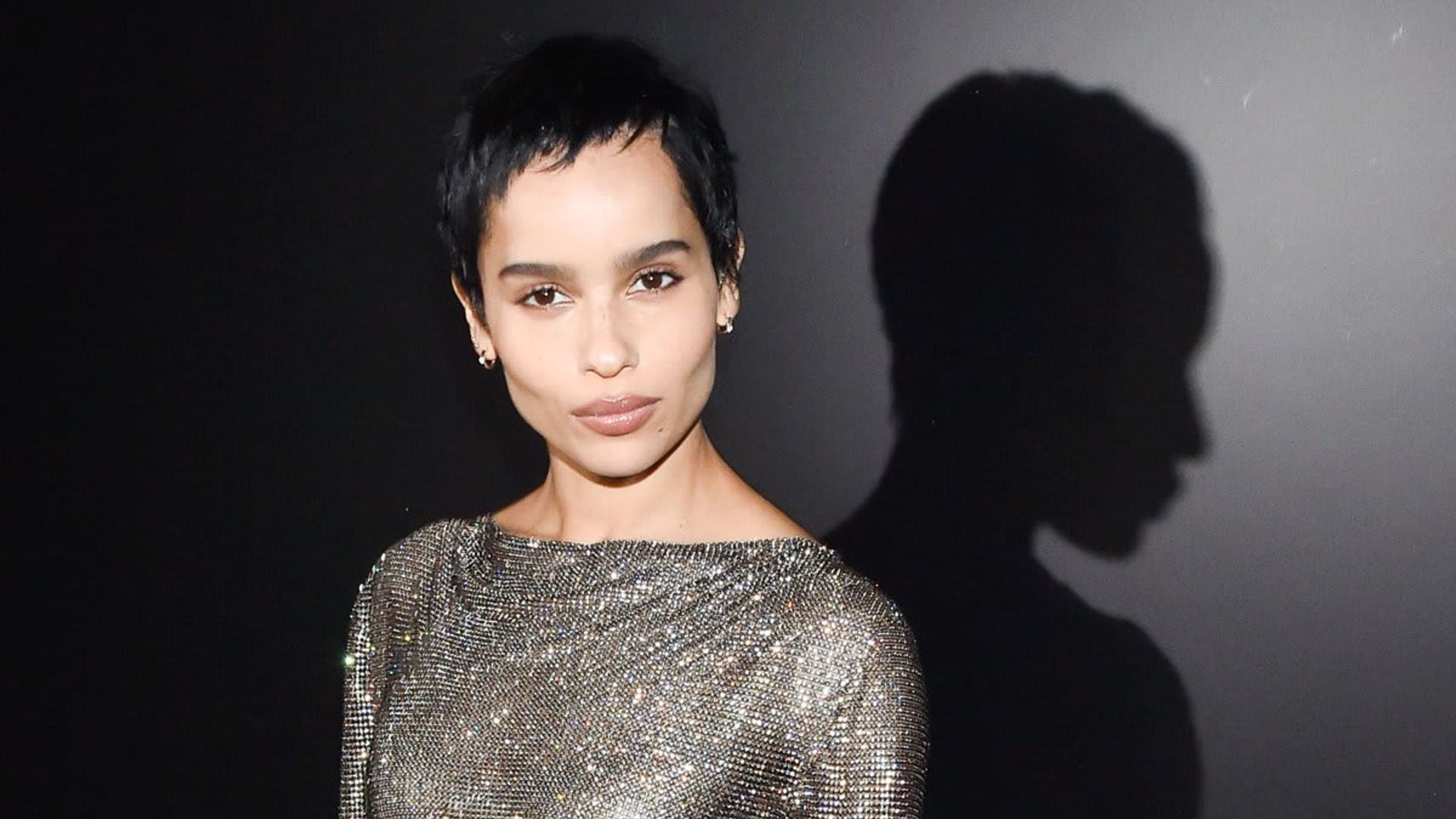 Zoë Kravitz is honoring the LGBTQ+ festivities with a selfie