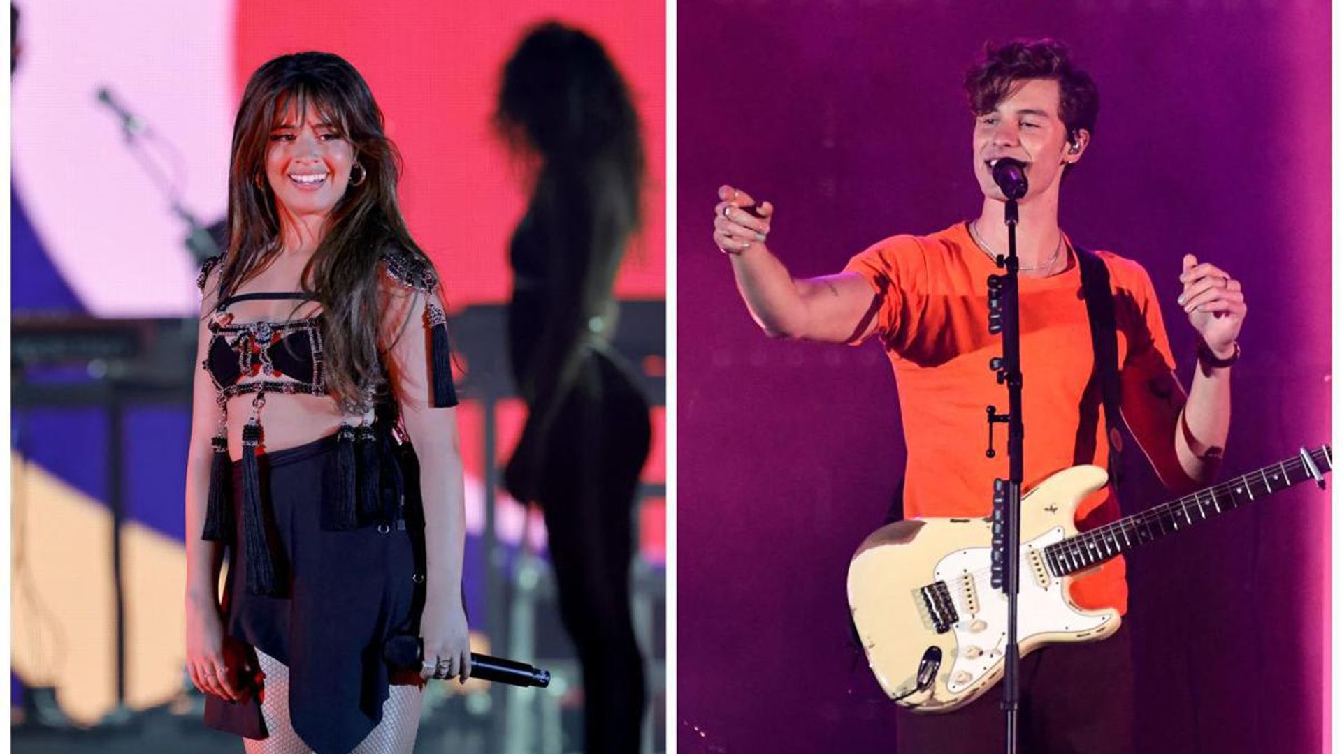 Camila Cabello and Shawn Mendes performed on the same stage during the 2022 Wango Tango festival