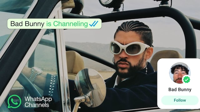 Bad Bunny WhatsApp