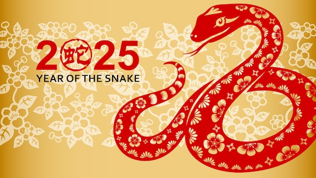 2025 Chinese Zodiac: Signs set for success and those that may face  challenges