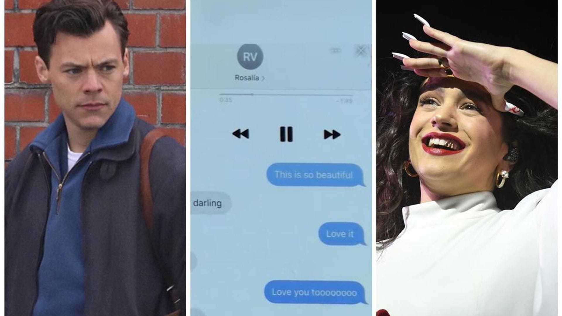 The hilarious interaction between Harry Styles and the person he thought was Rosalía