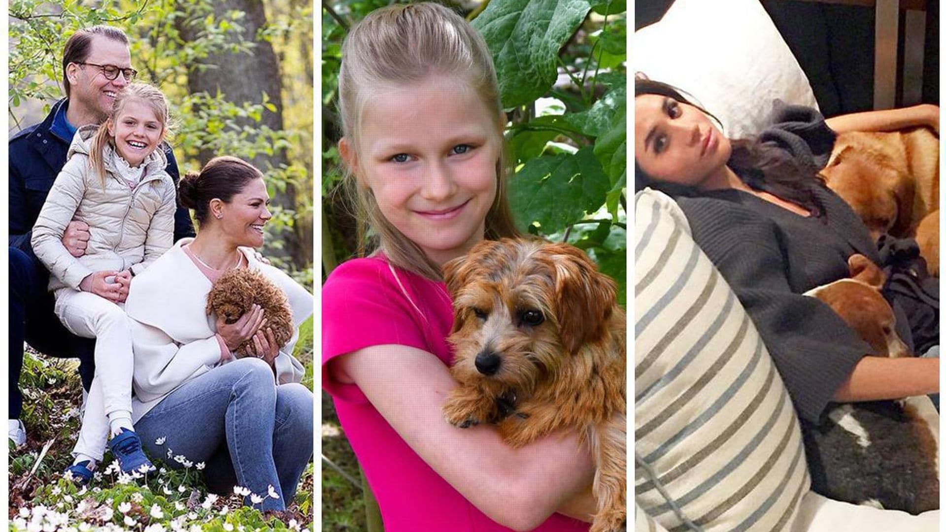 Royals and the adorable pets that are an integral part of their lives