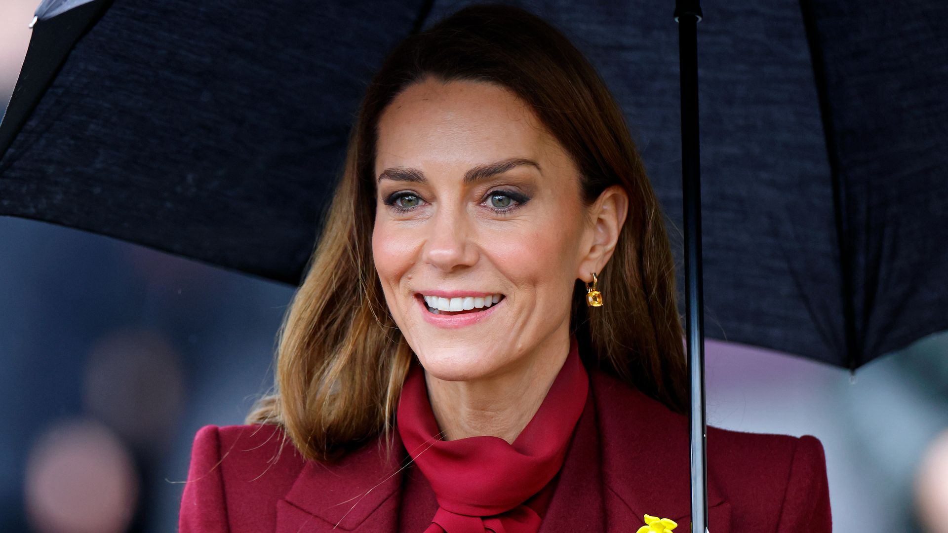 Kate Middleton’s Welsh Moment: A Daffodil, a Vintage Dress, and a Carefully Chosen Word